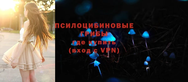 дживик Нея