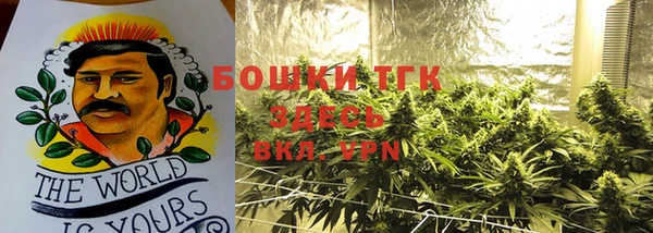 дживик Нея