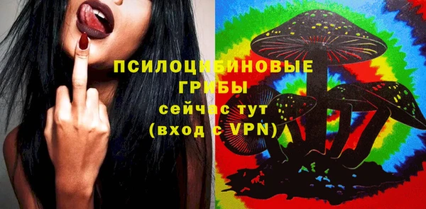 не бодяженный Братск
