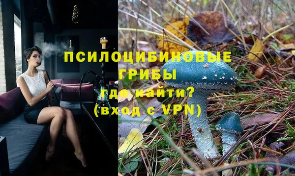 дживик Нея