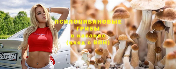 мдма Нефтекумск