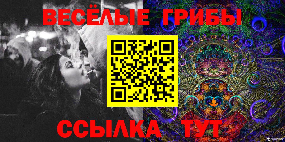 Псилоцибиновые грибы мухоморы Салават